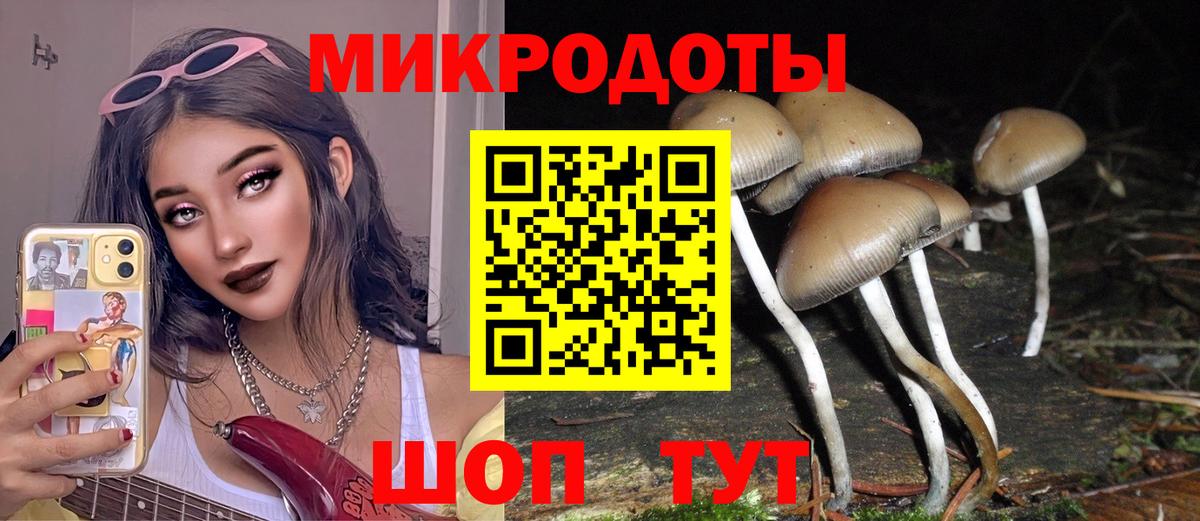 Псилоцибиновые грибы Psilocybe  Галлюциногенные грибы Psilocybine cubensis  Таганрог  Вход с VPN 