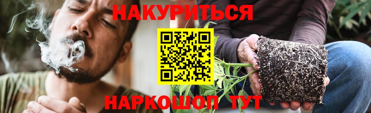 Бошки Шишки гибрид Таганрог